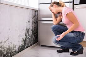 Best Emergency Mold Remediation  in Weed, CA